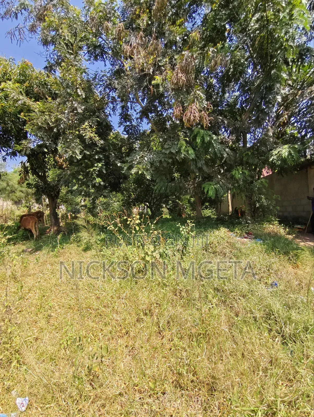 Plot for Sale
