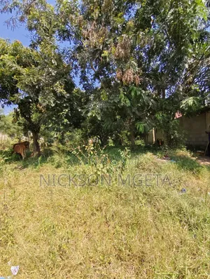 Plot for Sale