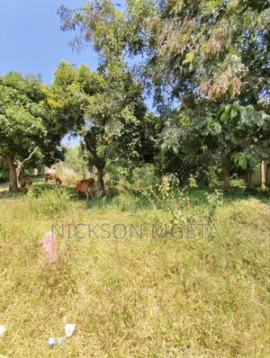 Plot for Sale