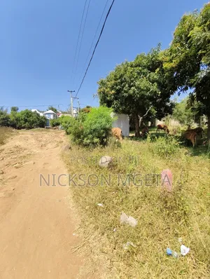 Plot for Sale