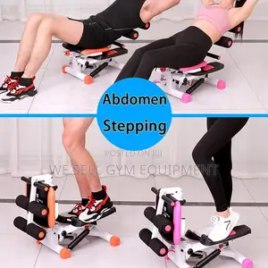 2 in 1 Mini Stepper