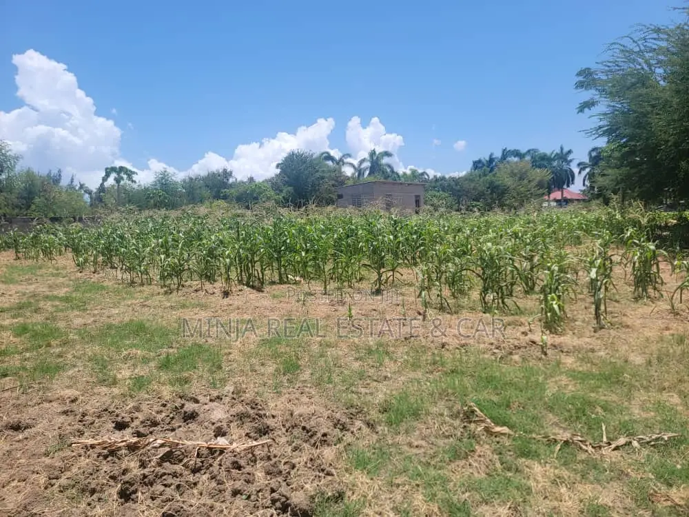 Buy Plot in Mbezi Beach and Invest