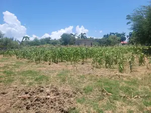 Buy Plot in Mbezi Beach and Invest