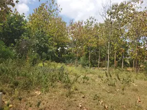 Plot Inauzwa Hiyo Goba Kulangwa Ushuwani Na Pameshapimwa