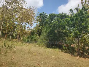 Plot Inauzwa Hiyo Goba Kulangwa Ushuwani Na Pameshapimwa