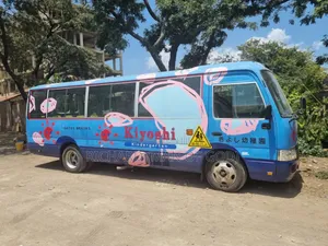 Toyota Coaster 2004 Blue