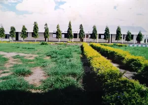 School Off Plan at Tanga Mjni