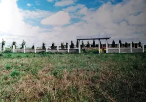 School Off Plan at Tanga Mjni