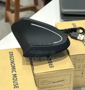 Ergonomic Wireless Rechargeable Mouse