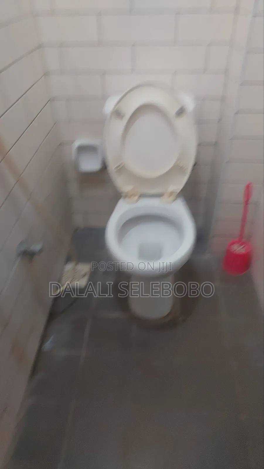 Mini Flat in Sinza Vatcan for rent