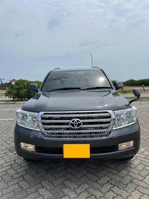 Toyota Land Cruiser 2010 Gray