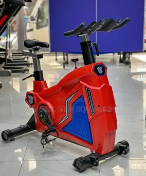Gym Bike Heavy Duty