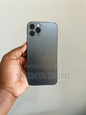 Apple iPhone 12 Pro 256 GB Gray