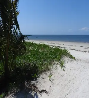Wonderful Beach Plot for Sale in Pangani Ushongo Tanga