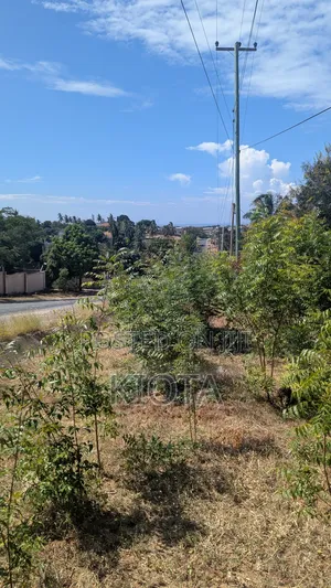 Salasala Kilimahewa