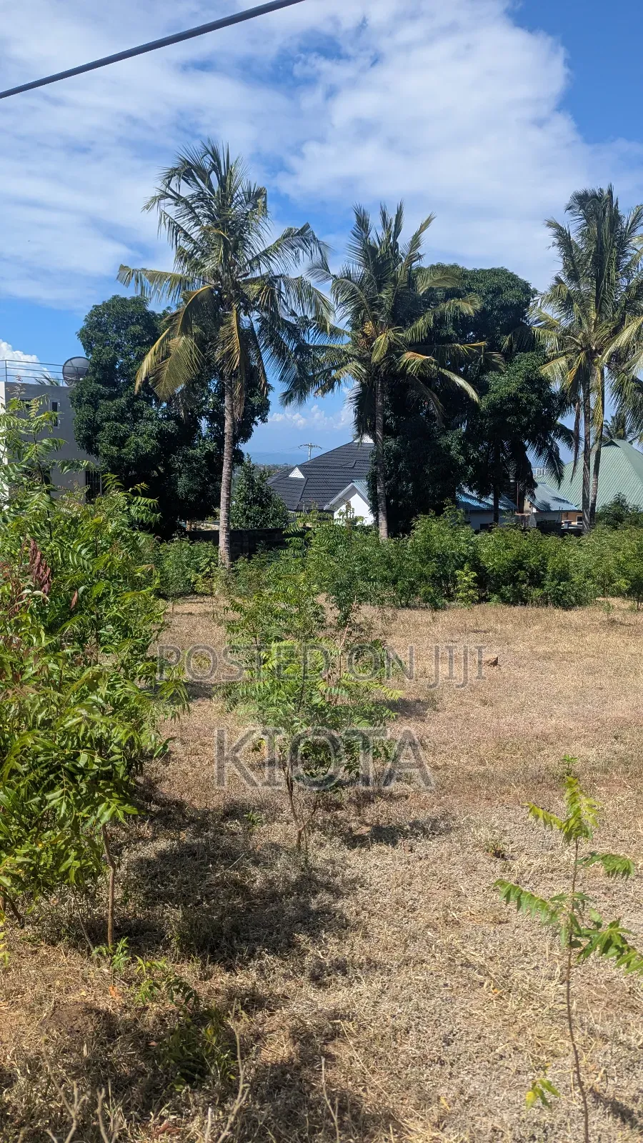 Salasala Kilimahewa