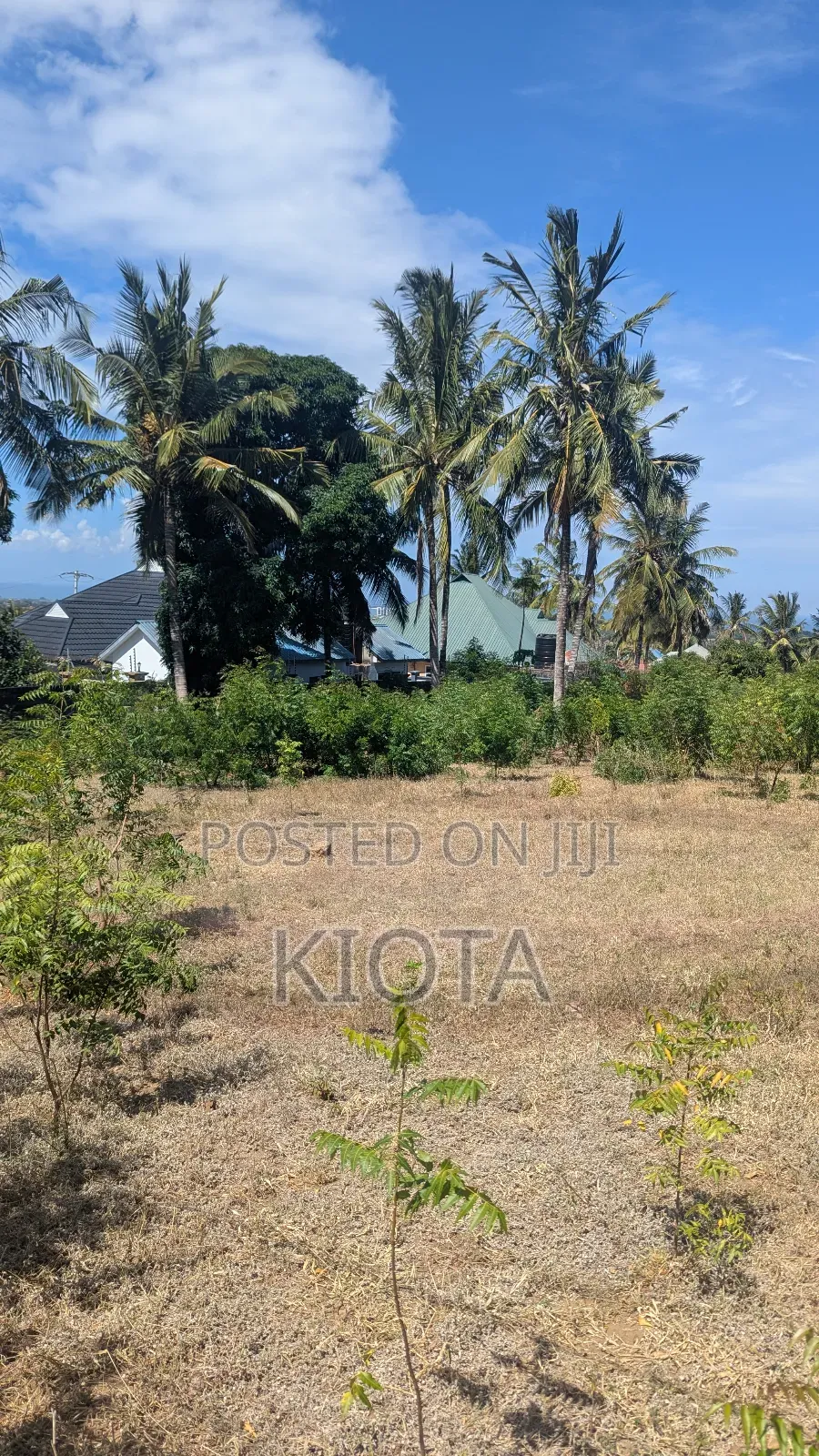 Salasala Kilimahewa