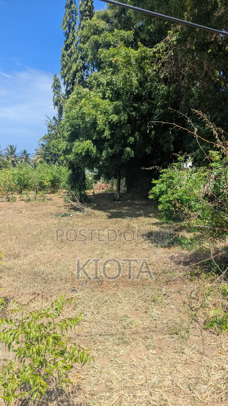 Salasala Kilimahewa