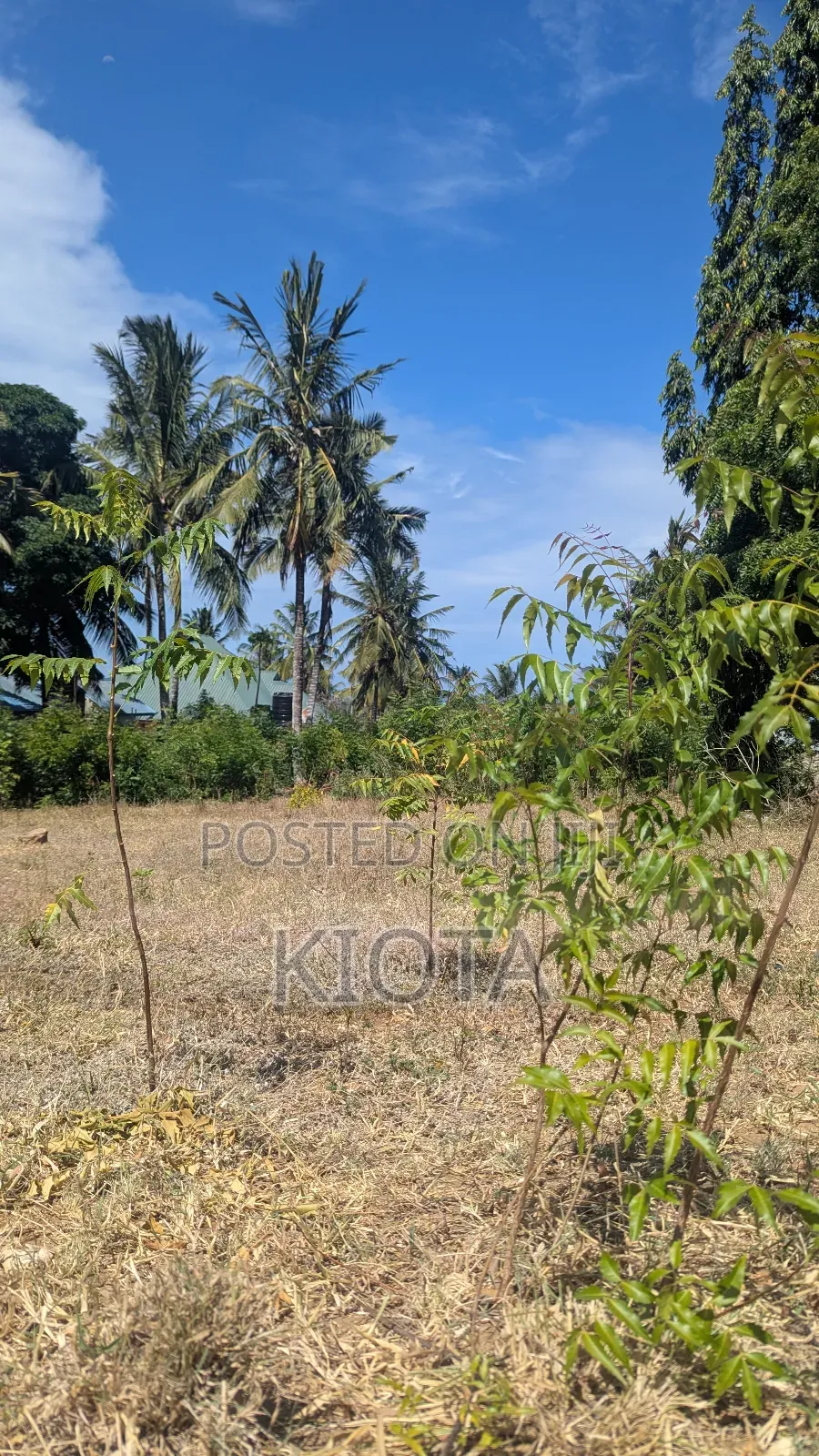 Salasala Kilimahewa