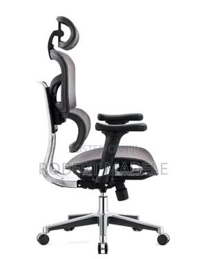 Ergonomic Chair