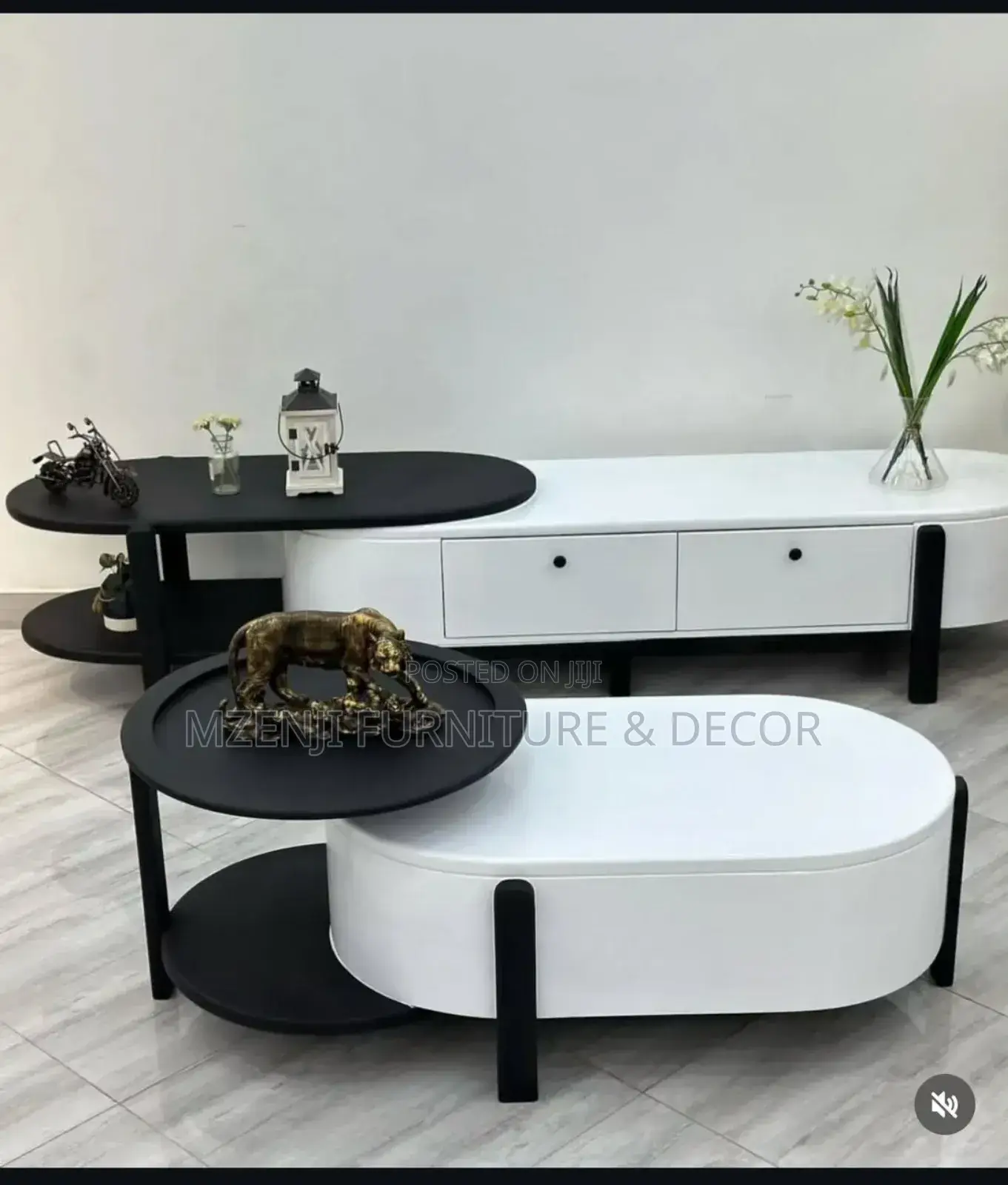 Coffee Table Showcase