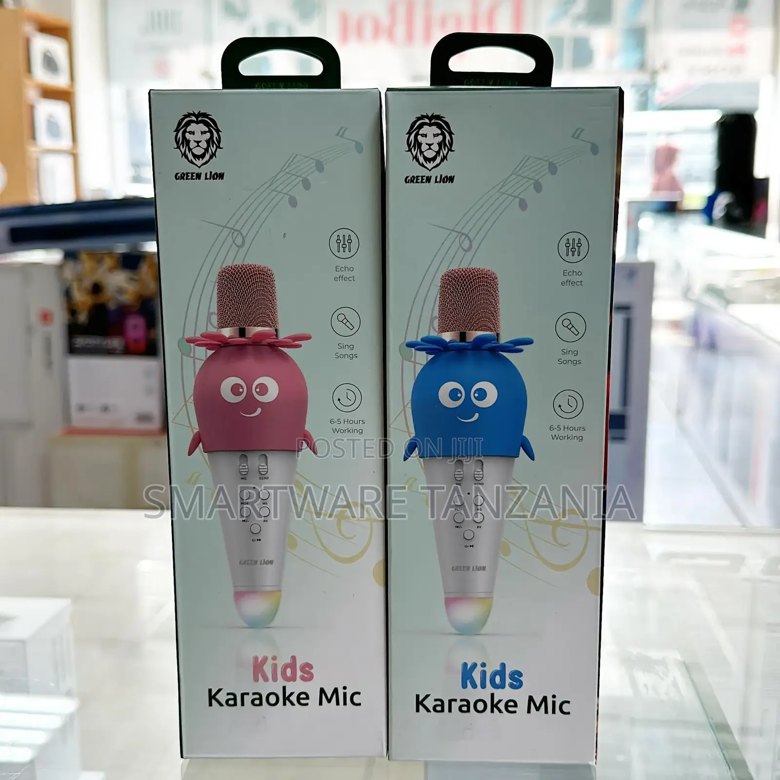 Green Lion Kids Karaoke Mic
