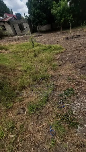 Plot Sale Near by India Oceans Mbez Beach