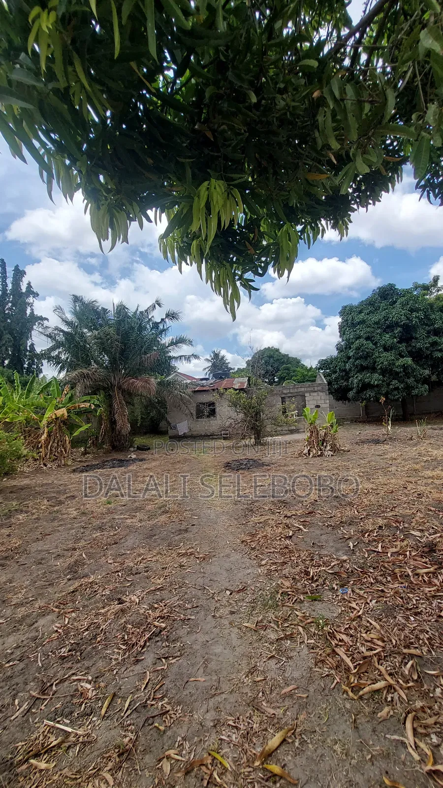 Plot Sale Near by India Oceans Mbez Beach