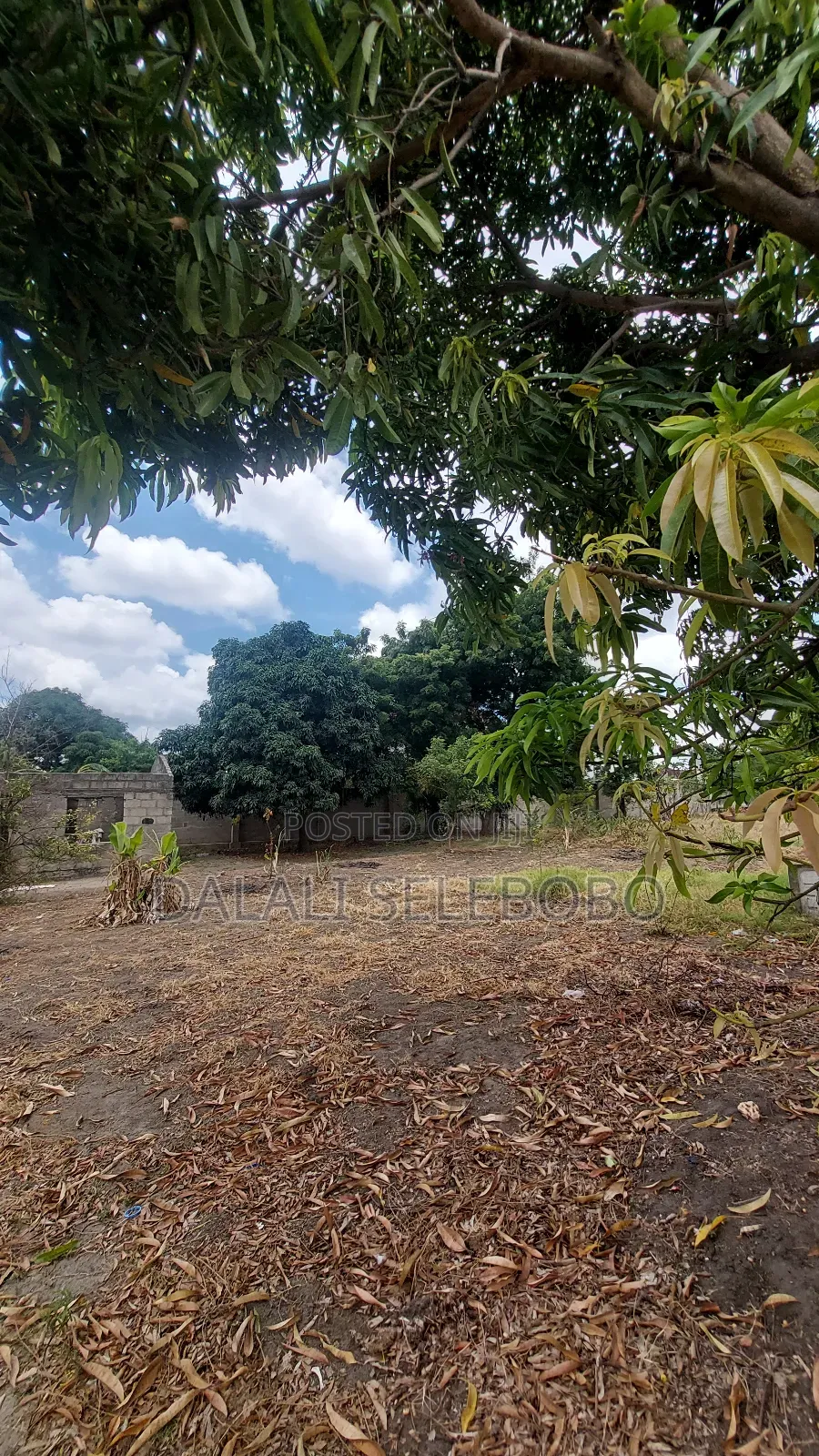 Plot Sale Near by India Oceans Mbez Beach