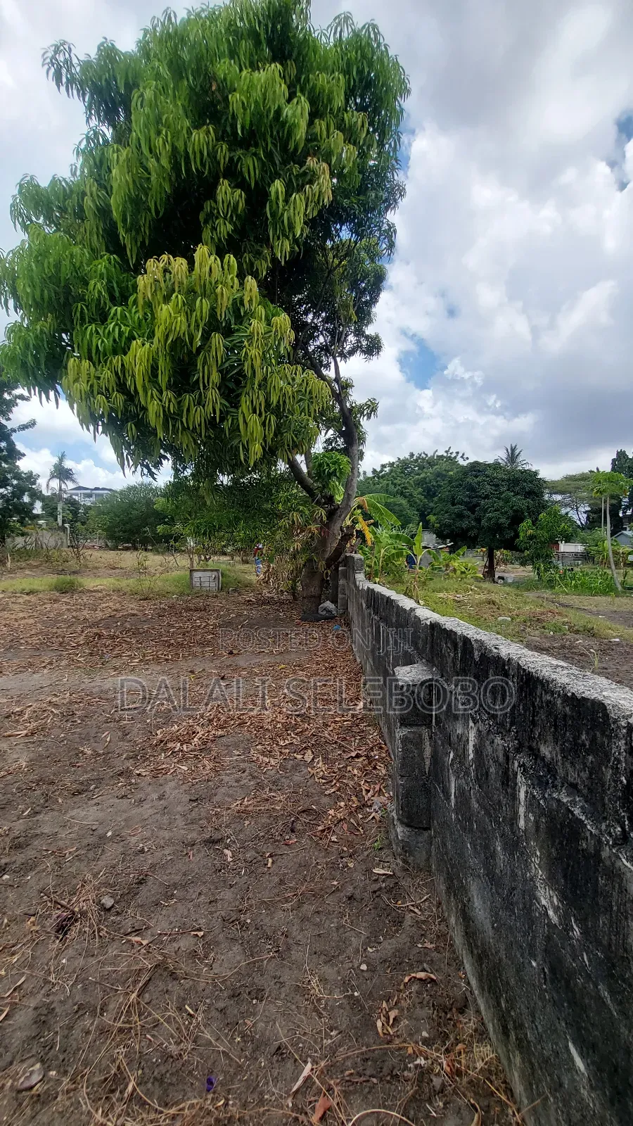 Plot Sale Near by India Oceans Mbez Beach