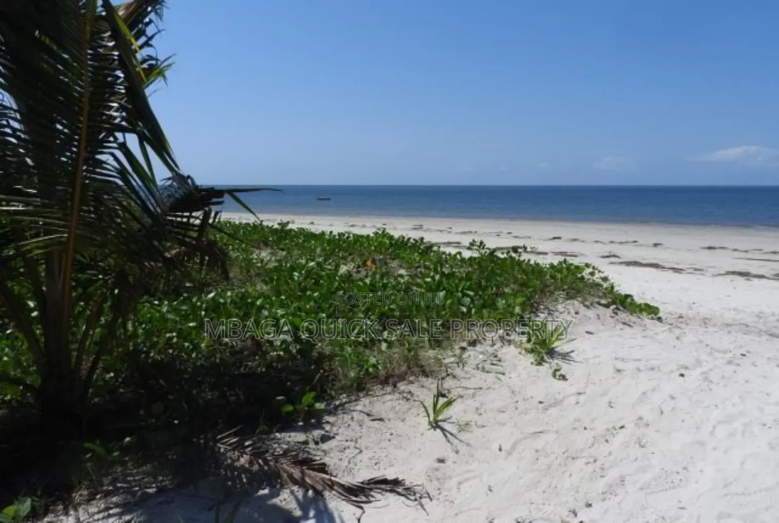 Beach Plot for Sale at Tanga Pangani Ushongo