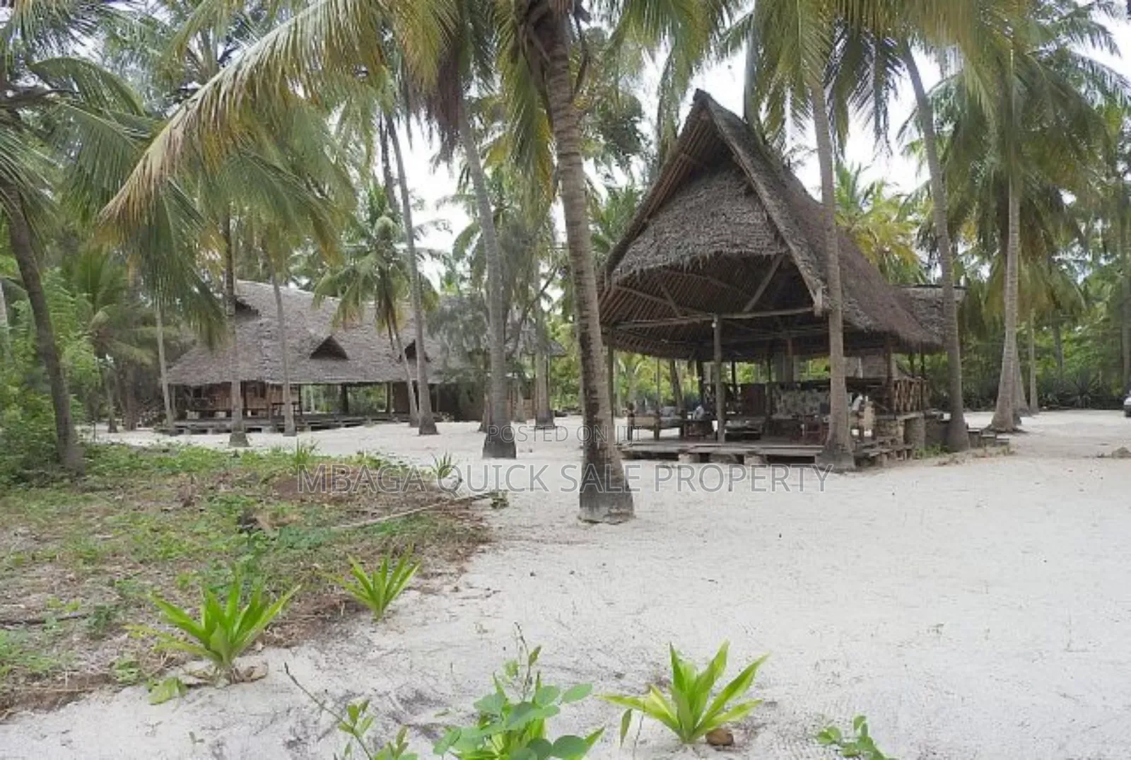 Beach Plot for Sale at Tanga Pangani Ushongo