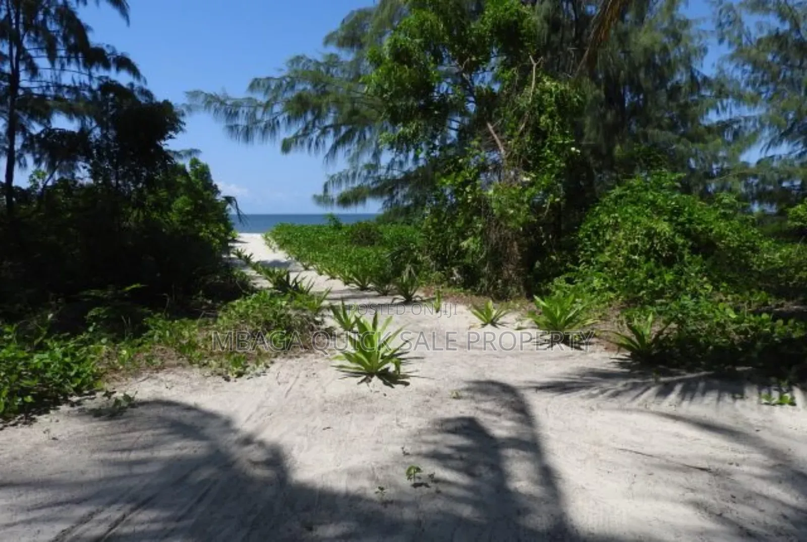 Beach Plot for Sale at Tanga Pangani Ushongo