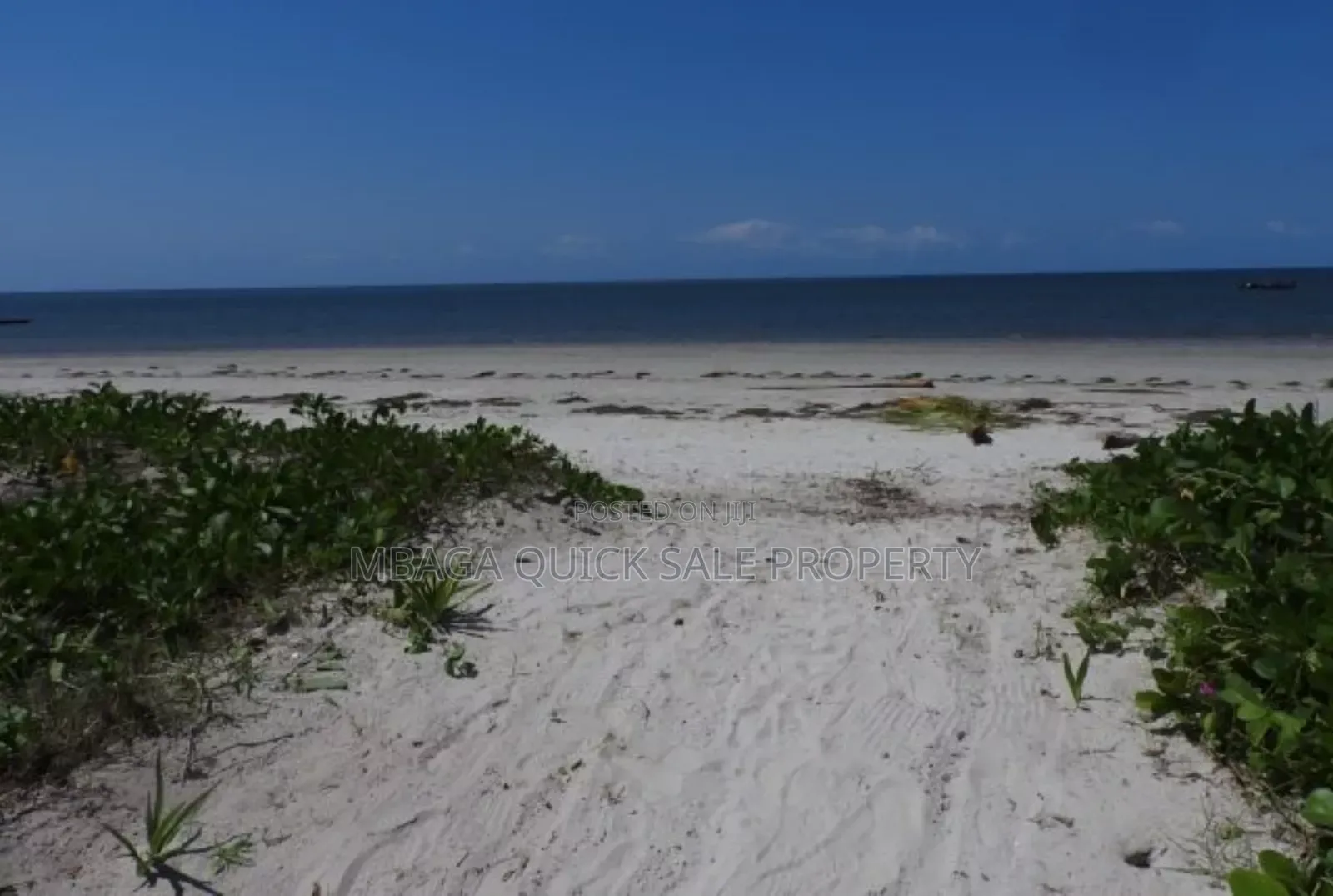 Beach Plot for Sale at Tanga Pangani Ushongo