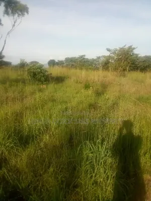 Farm for Sale at Mafinga Iringa