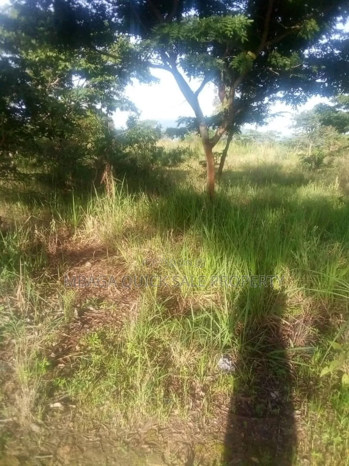 Farm for Sale at Mafinga Iringa