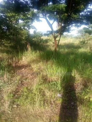 Farm for Sale at Mafinga Iringa