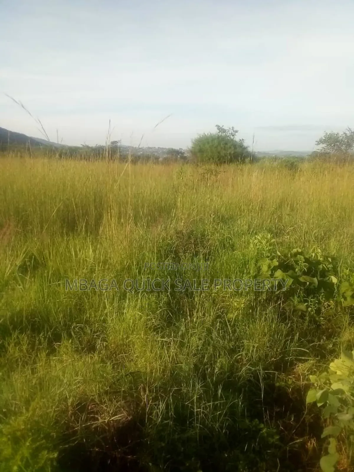 Farm for Sale at Mafinga Iringa
