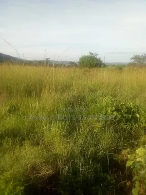 Farm for Sale at Mafinga Iringa