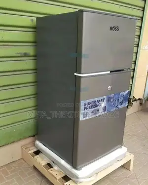 Boss Refrigerator 60l Bs60svr