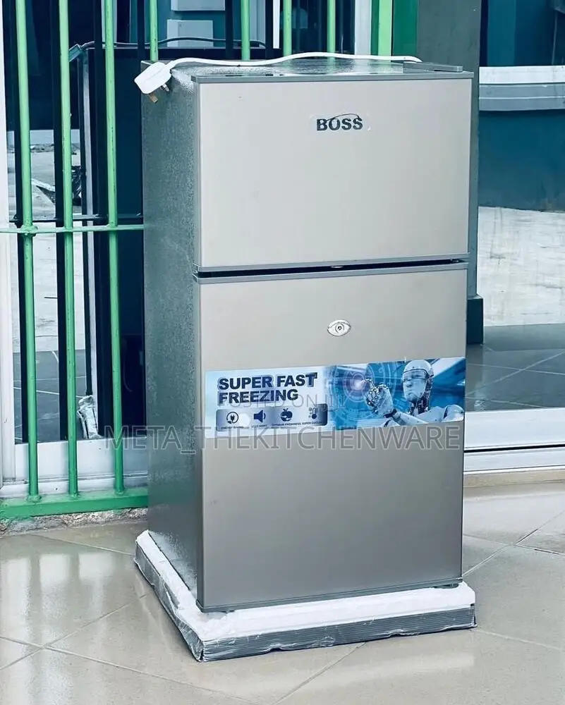 Boss Refrigerator 60l Bs60svr
