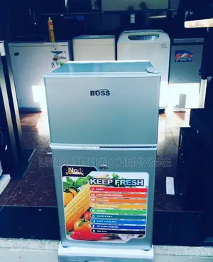 Boss Refrigerator 60l Bs60svr