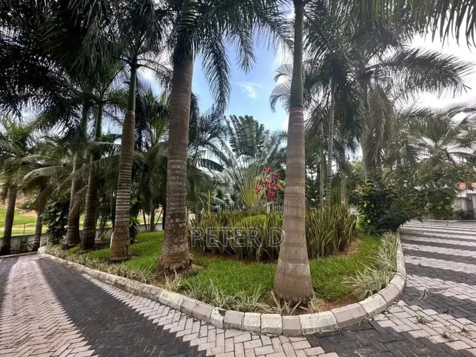 4bdrm House in Kimara for rent