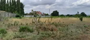 Plot for Sale Tuangoma Stanley