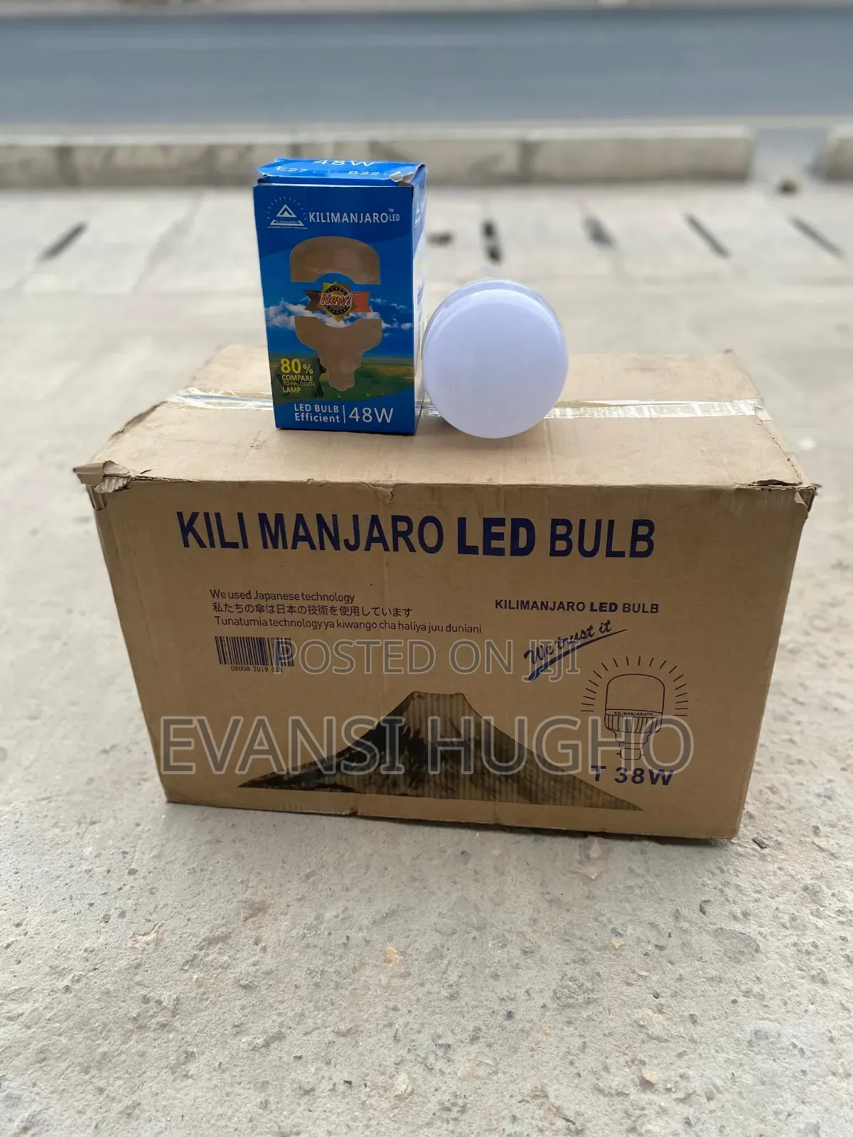 Kilimanjaro Led Bulb Light