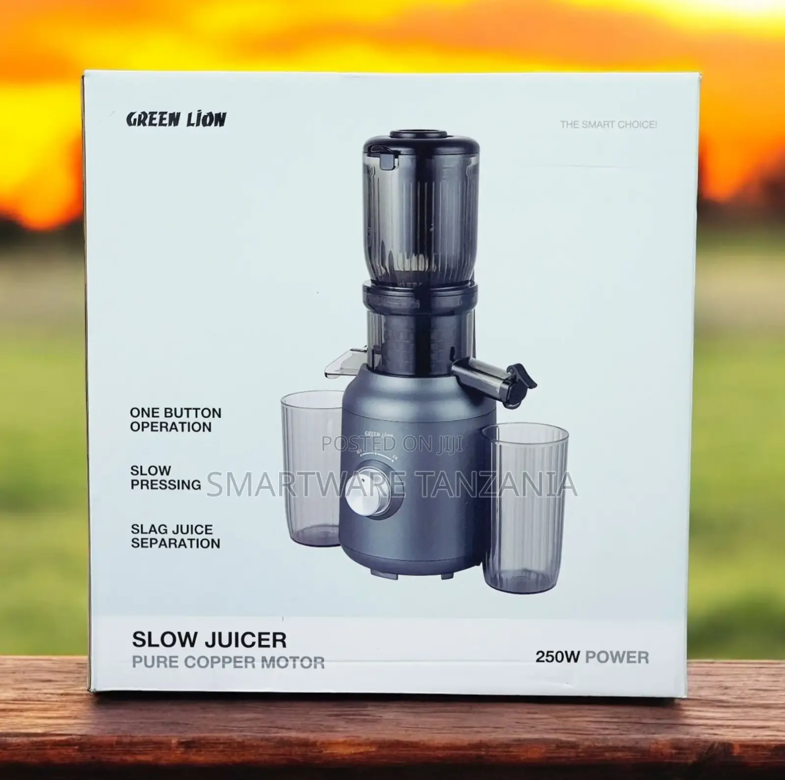 Vegetable And Fruit Juicer Cold Press Quiet Motor Easy Clean