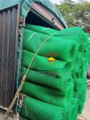Wavu Wa Banda Za Kuku