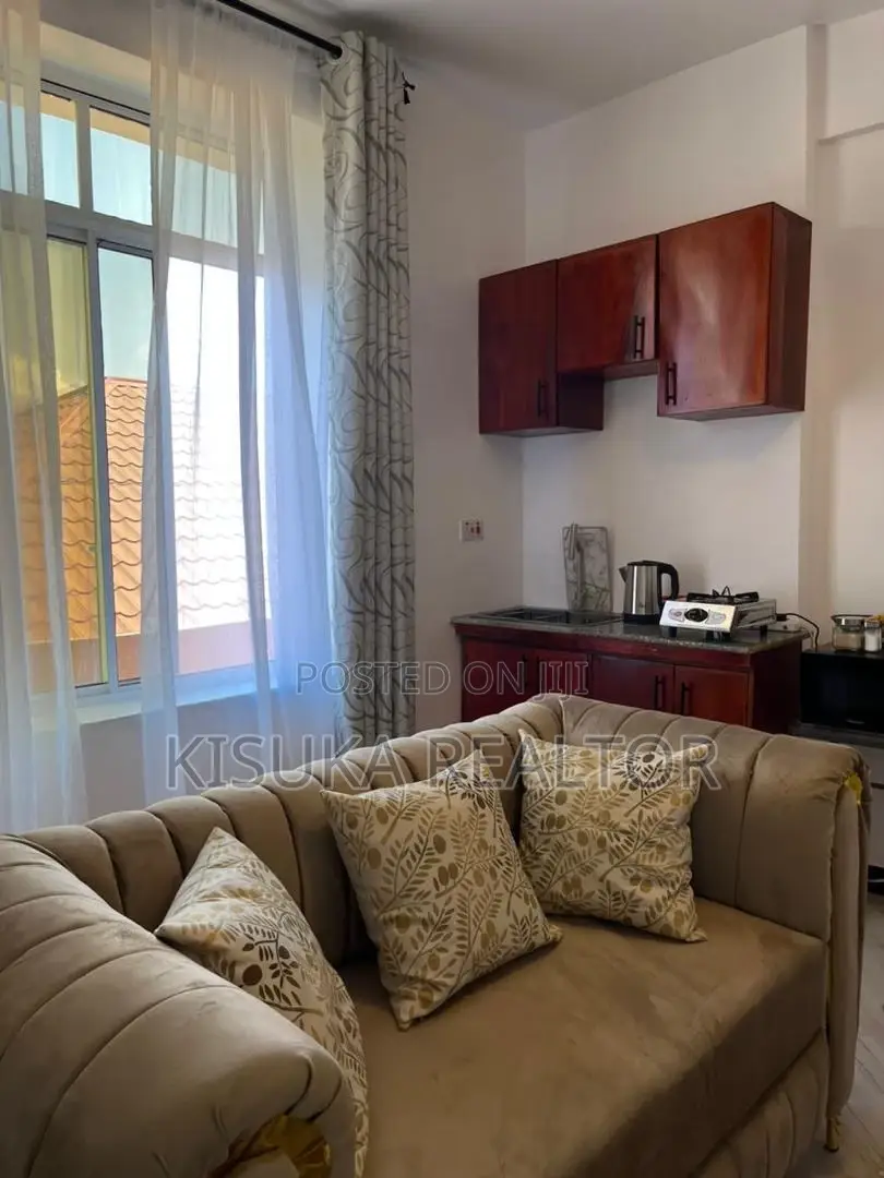 Furnished 1bdrm Apartment in Sinza, Kinondoni for rent