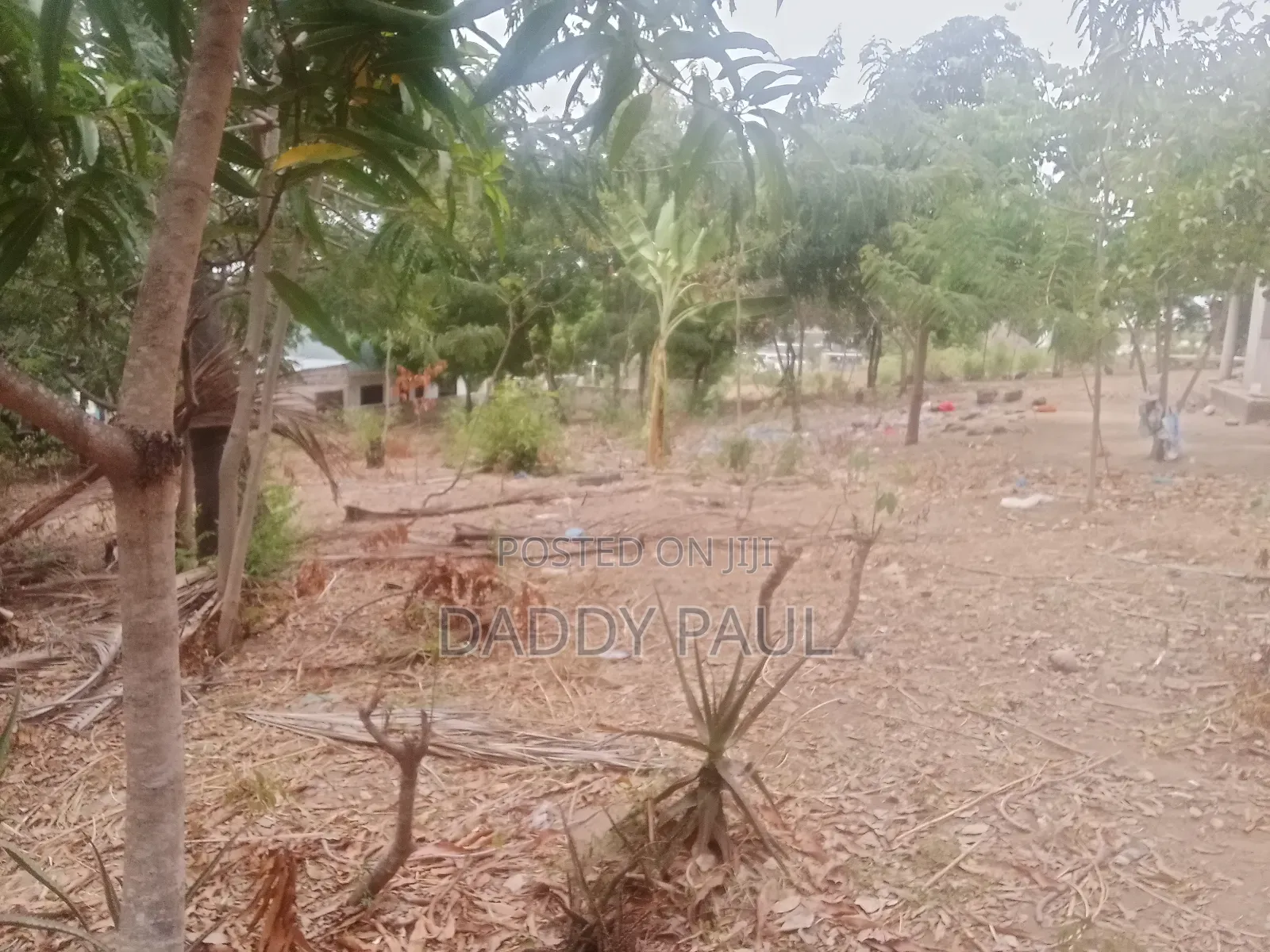 A Nice Corner Plot For Sale