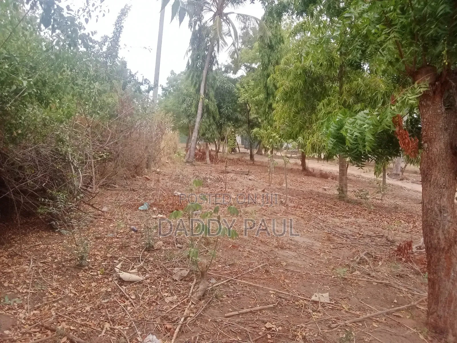 A Plot Facing Street Road for Sale